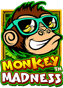 แพลตฟอร์มเครื่องสล็อต Pt ชื่อเสียง ทดลองเล่น โจ๊ก เกอร์